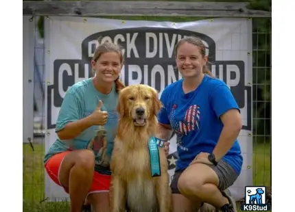 a group of men and a golden retriever dog